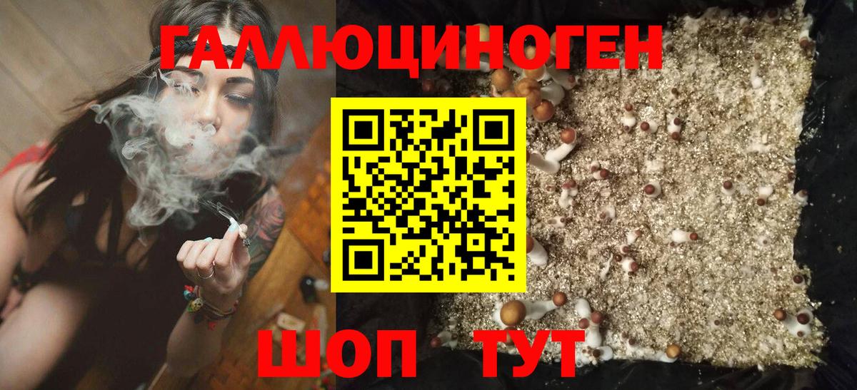 Пенза  Псилоцибиновые грибы Cubensis  Вход с VPN 